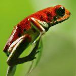 دانلود سریال Life in Colour