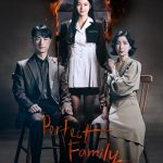 دانلود سریال Perfect Family